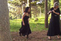 bosco 2007c .jpg