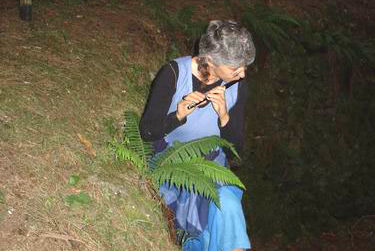 Il bosco in concerto 2005 1.jpg