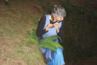 Il bosco in concerto 2005 1.jpg